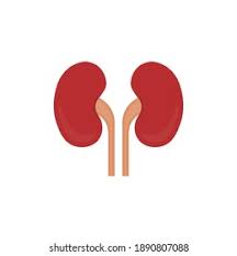 Kidney Test
